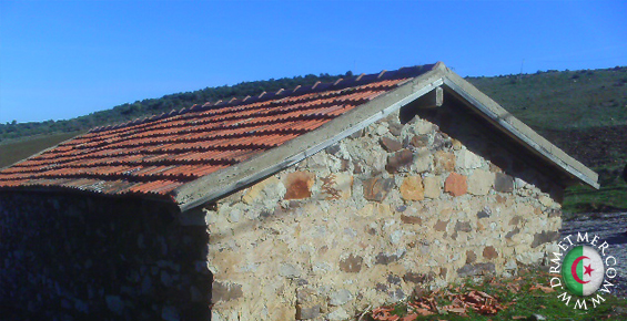 مناسبة ذكرى وفاة الرئيس الراحل هواري بومدين ، الدكتور محمد العيد مطمر